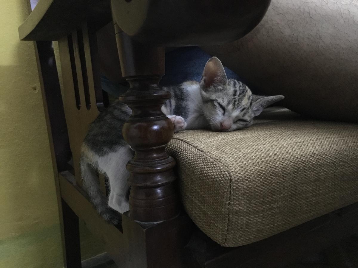 Nha Homestay Da Nang Dış mekan fotoğraf