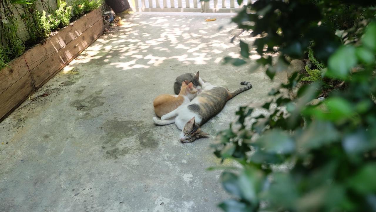 Nha Homestay Da Nang Dış mekan fotoğraf
