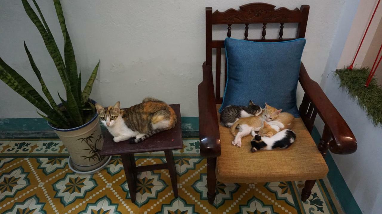 Nha Homestay Da Nang Dış mekan fotoğraf