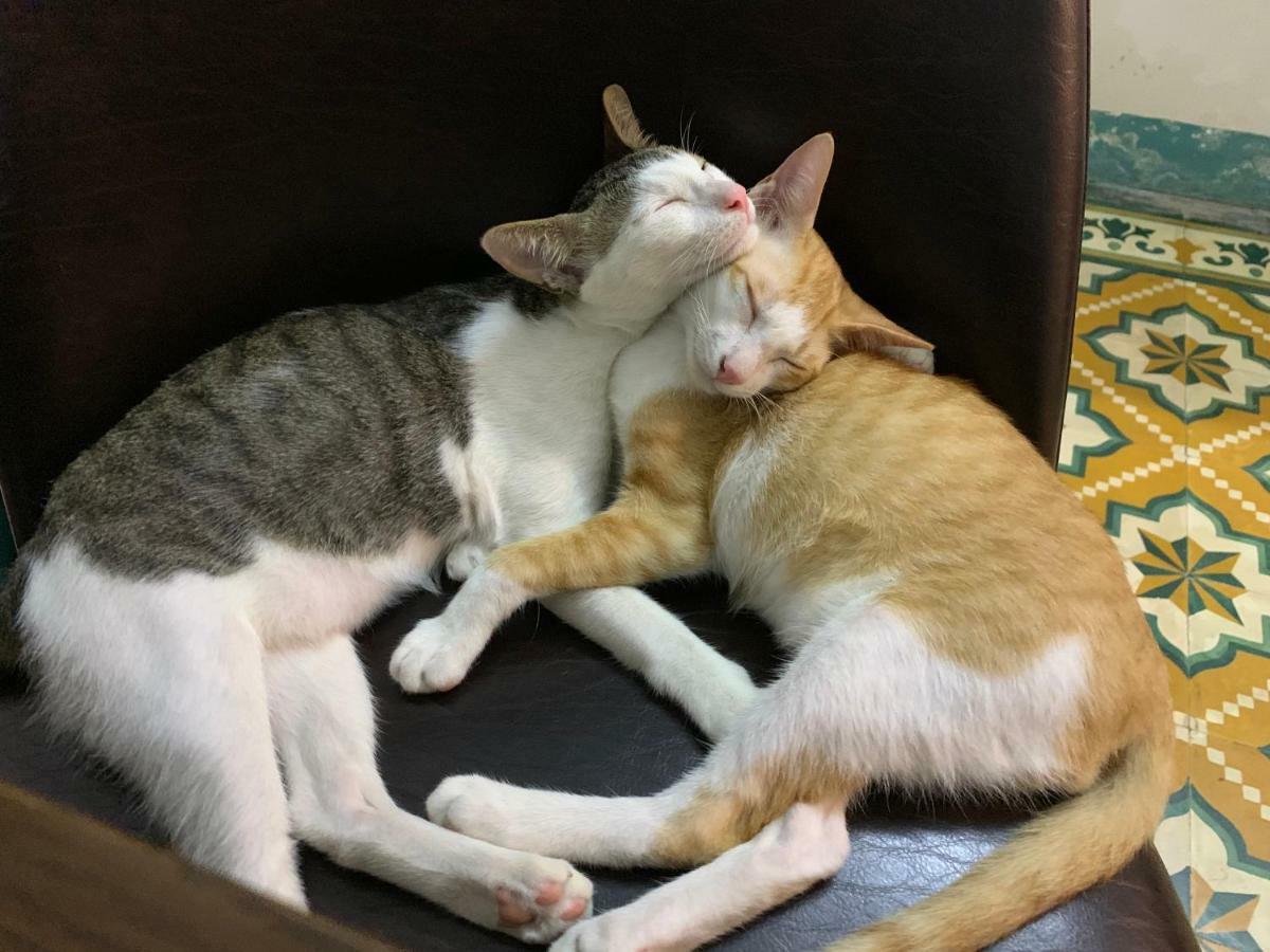 Nha Homestay Da Nang Dış mekan fotoğraf