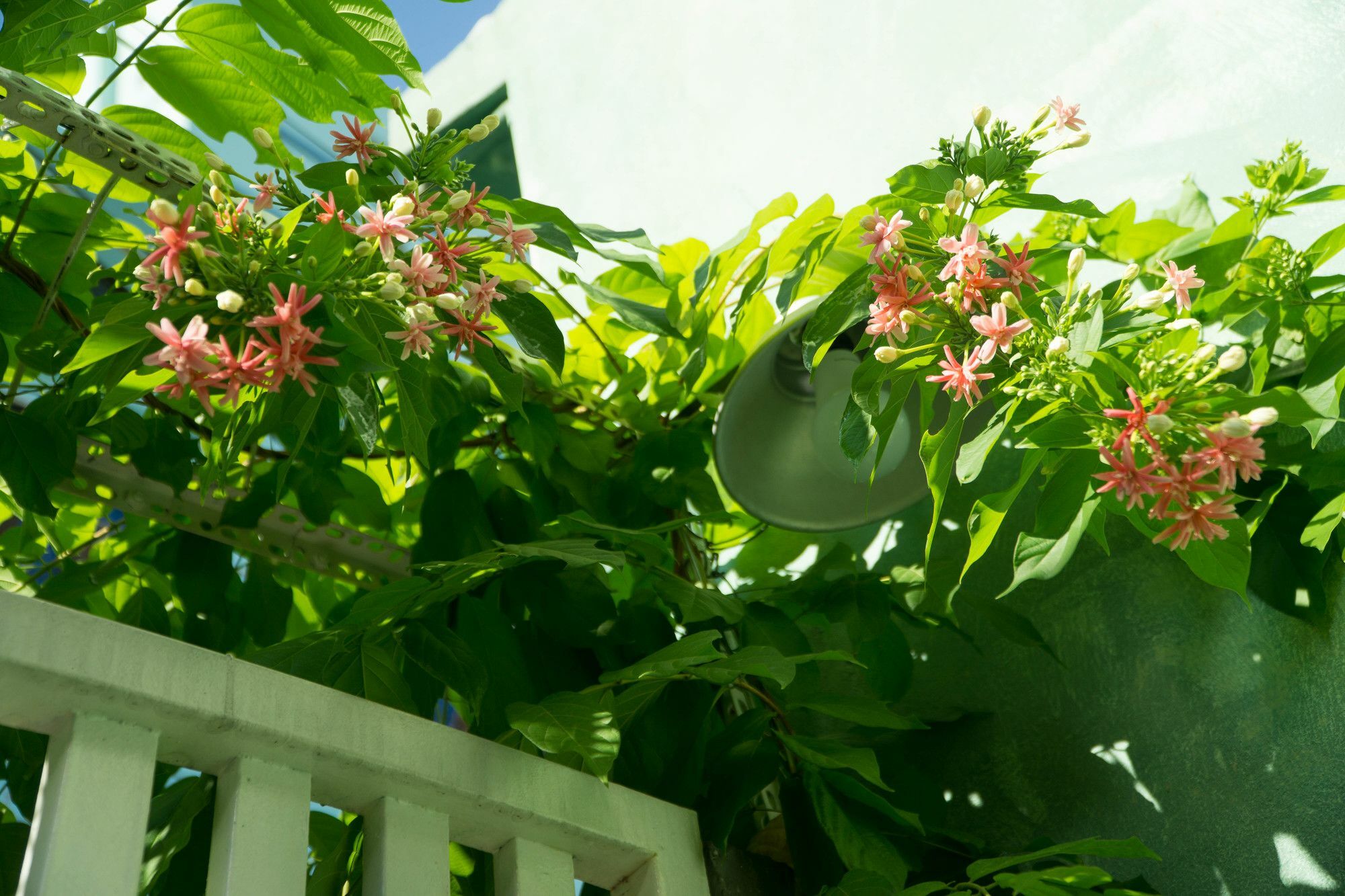 Nha Homestay Da Nang Dış mekan fotoğraf
