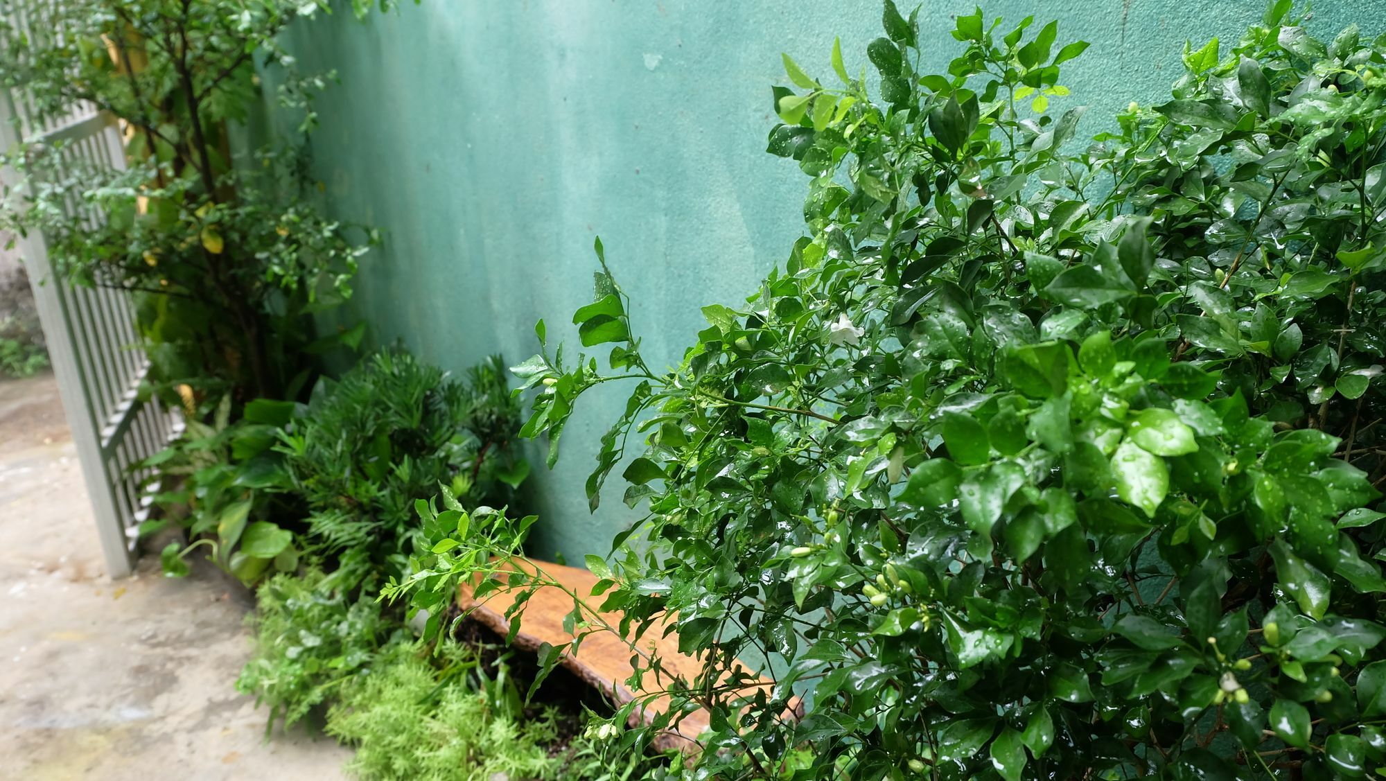 Nha Homestay Da Nang Dış mekan fotoğraf