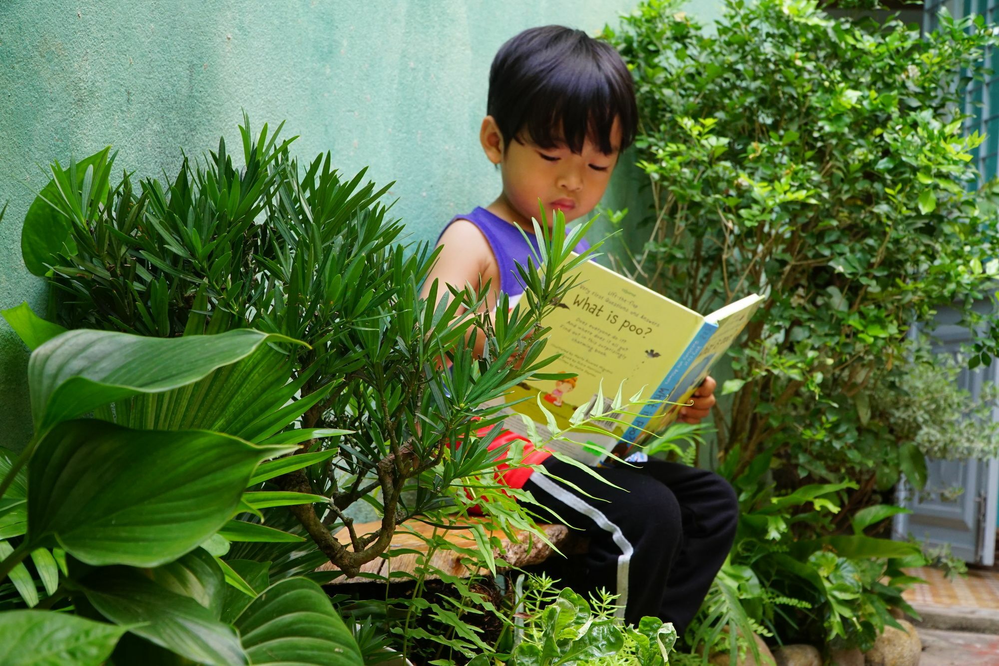 Nha Homestay Da Nang Dış mekan fotoğraf